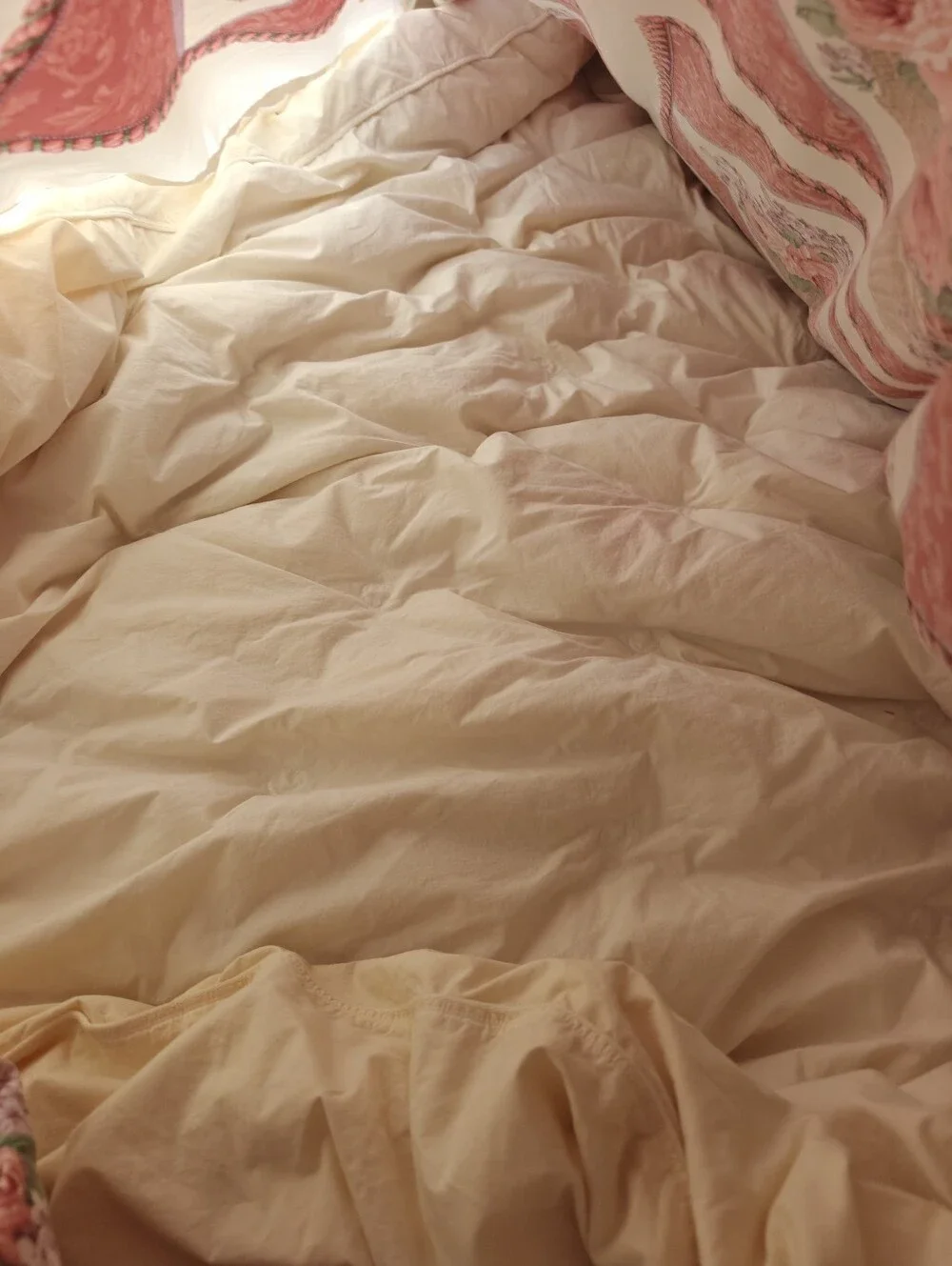 King Down Duvet 80x90  In hand sewn Cover Feather bed Heavy Shabby